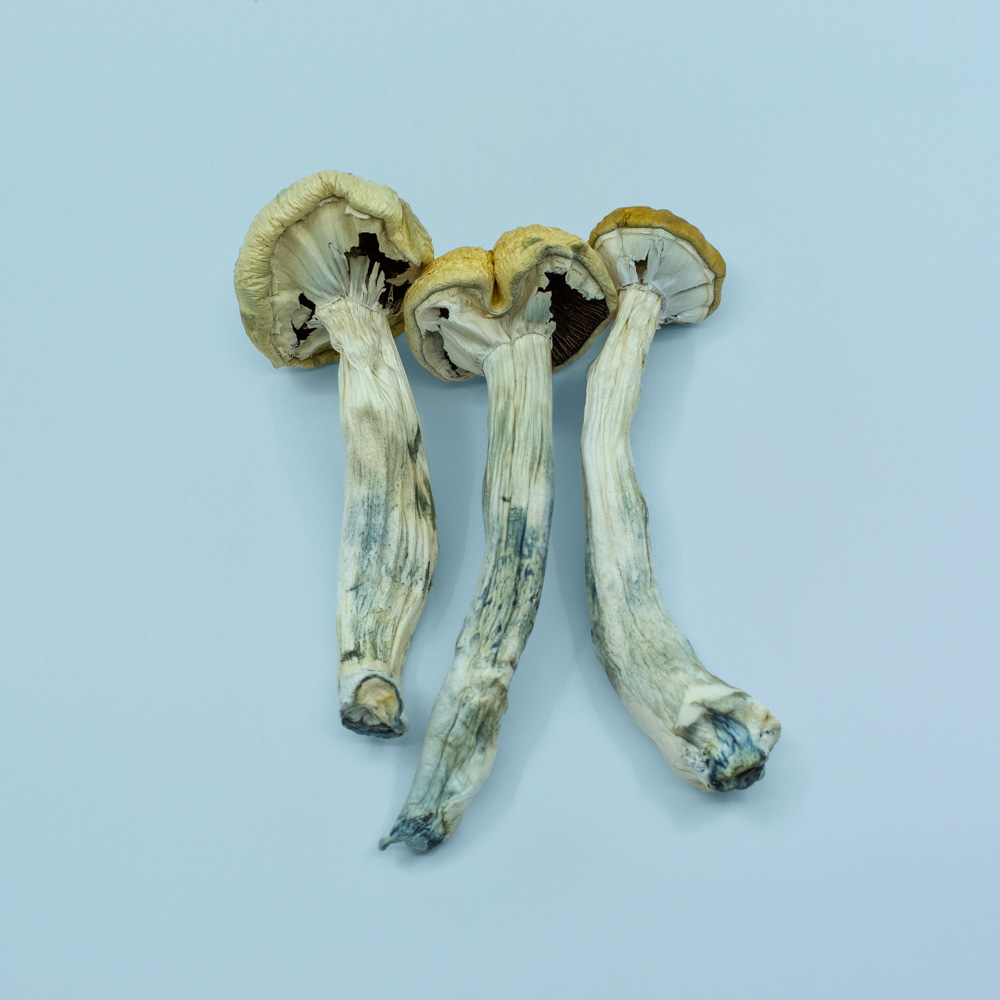 Hawaiian Magic Mushrooms (PES Hawaiian)